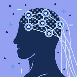 Meet your Posher, Hibo